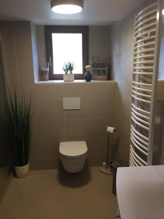 Les Hirondelles Apartment Wintzenheim Luaran gambar